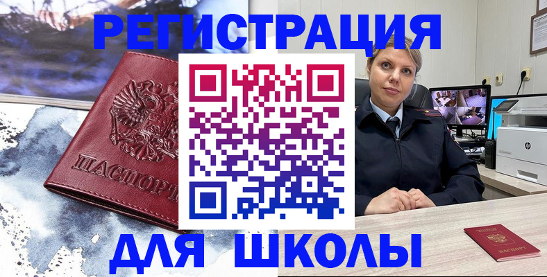 поиск собственника жилья для регистрации в Светлогорске